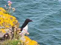 Stonehaven Day Trip