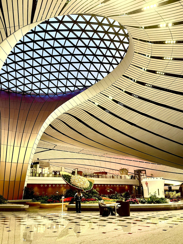 Explore the world’s most futuristic Airport: Daxing 