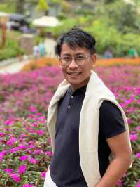 🌿🌸 Baguio’s Hidden Jungle: A Walk Through Botanical Wonder 