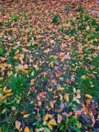 🍂 The Village Museum in Bucharest – A Peaceful Autumn 