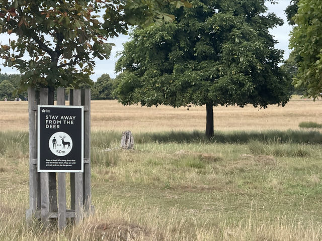 Richmond Park: Royal Nature, Wild Deer & Epic Views