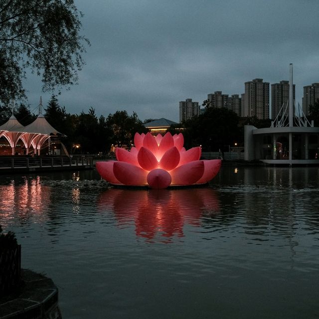 🌙Huiyuan Garden by Night: A Quiet Stroll Through Anhui Miniatures & Lantern Glow