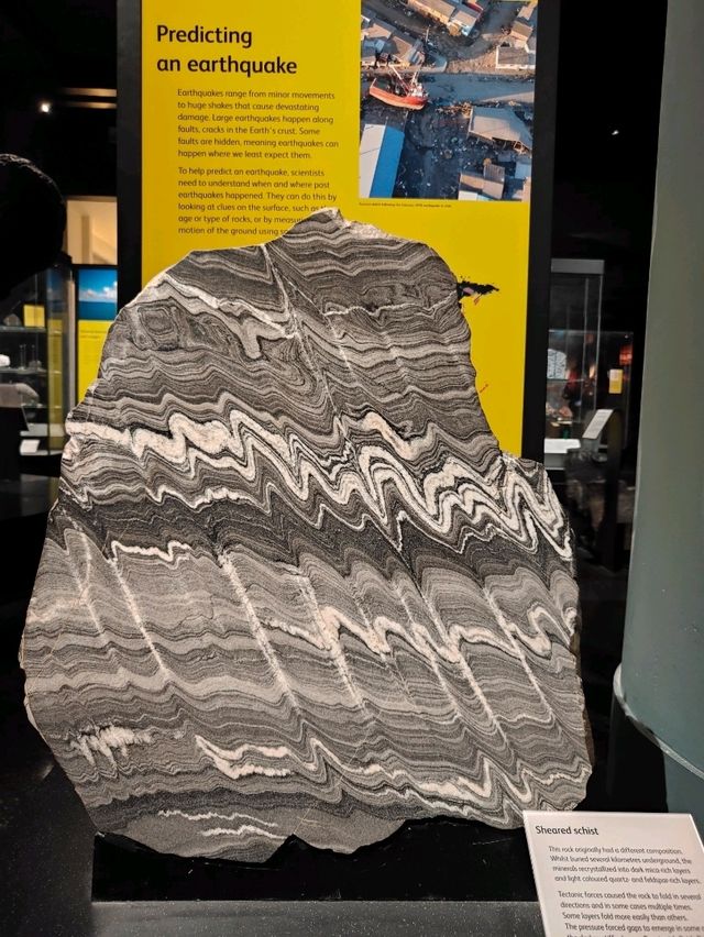 Stone as Storyteller — A Review of the Earth Sciences Gallery at the National Museum of Scotland