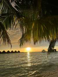 Mercure Kooddoo Maldives — Where Simplicity Meets Soul
