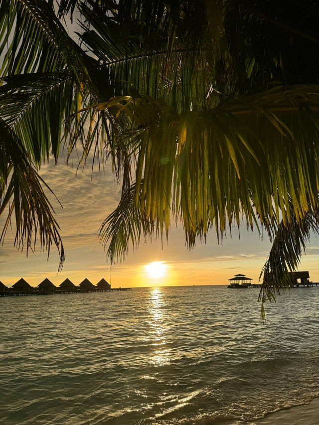 Mercure Kooddoo Maldives — Where Simplicity Meets Soul Mercure Kooddoo Maldives — Where Simplicity Meets Soul
