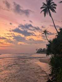 Tropical Escape🌅