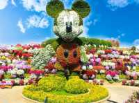Explore the magic of nature at the Dubai miracle garden!