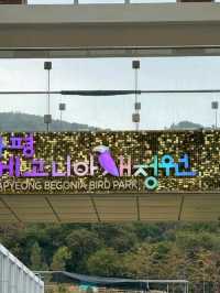 Flower Dreamscape🌸