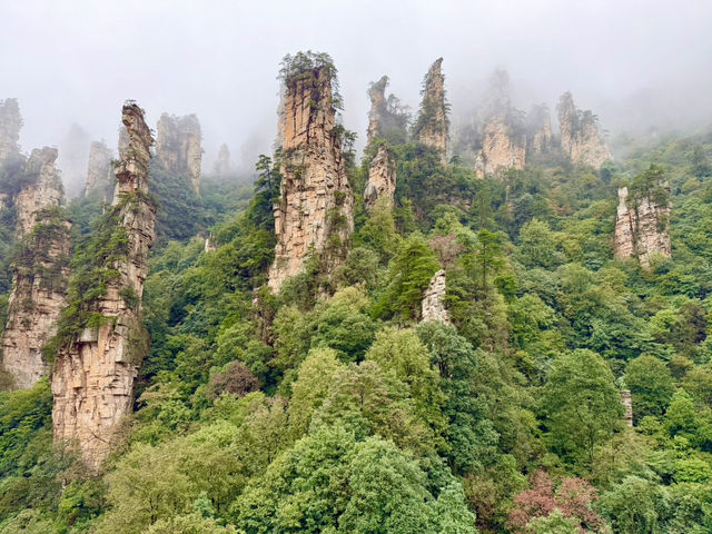 ⛰️ The Real-Life Mountains of Pandora