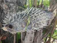 Пляж Лоо Му Ди на Пхи‑Пхи: дикая красота без толп туристов