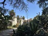 The Secret Garden of Trastevere: Where History Meets the Wilderness