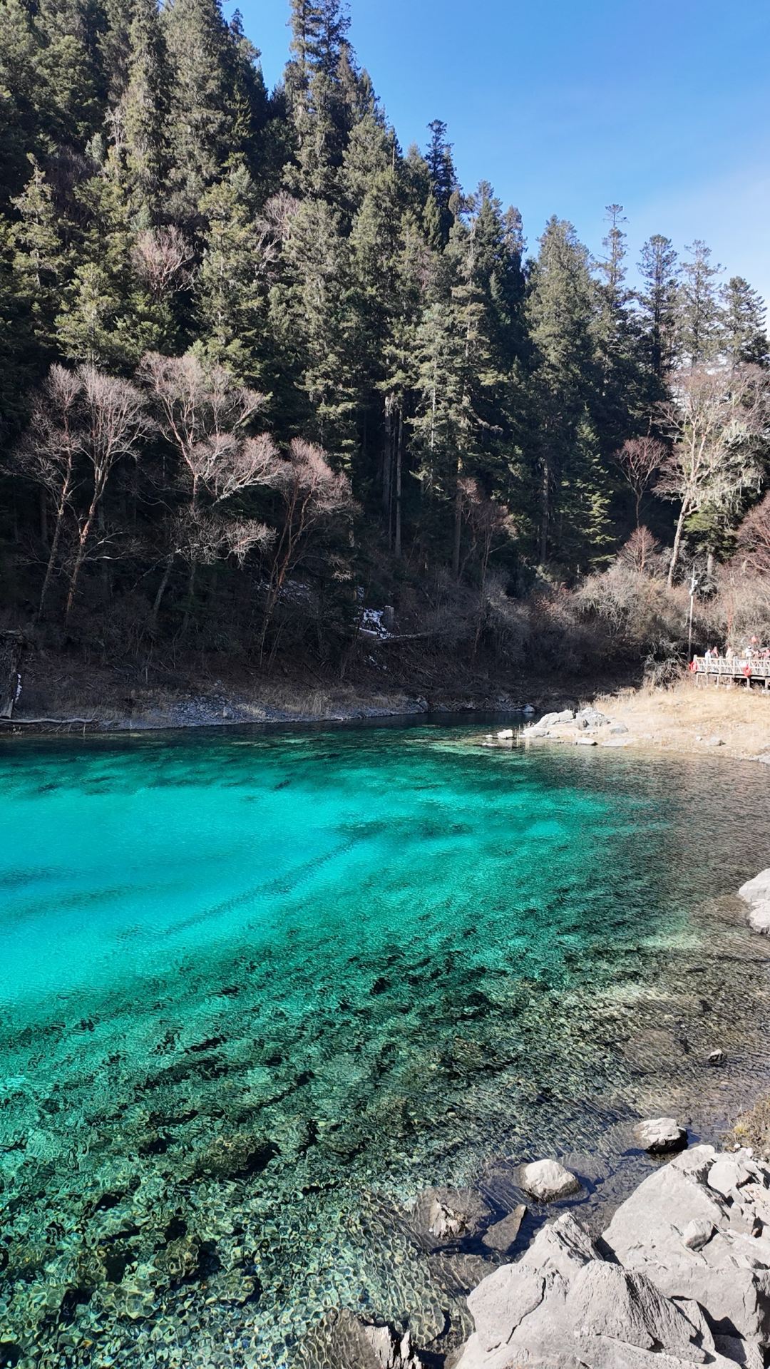 九寨溝國家公園的夢幻冬日景色