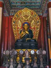 Lama Temple 