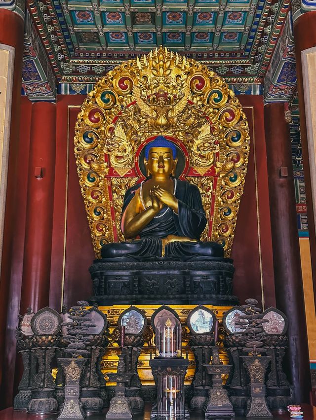 Lama Temple 