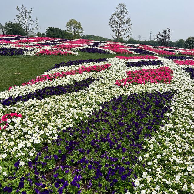 Shanghai’s Gardens 