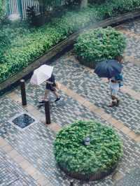 Travel Tips: Typhoon Season in Hong Kong