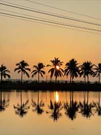 Zhanjiang Tourism | 📍Seaside Park has sunrise, coconut groves and beach.