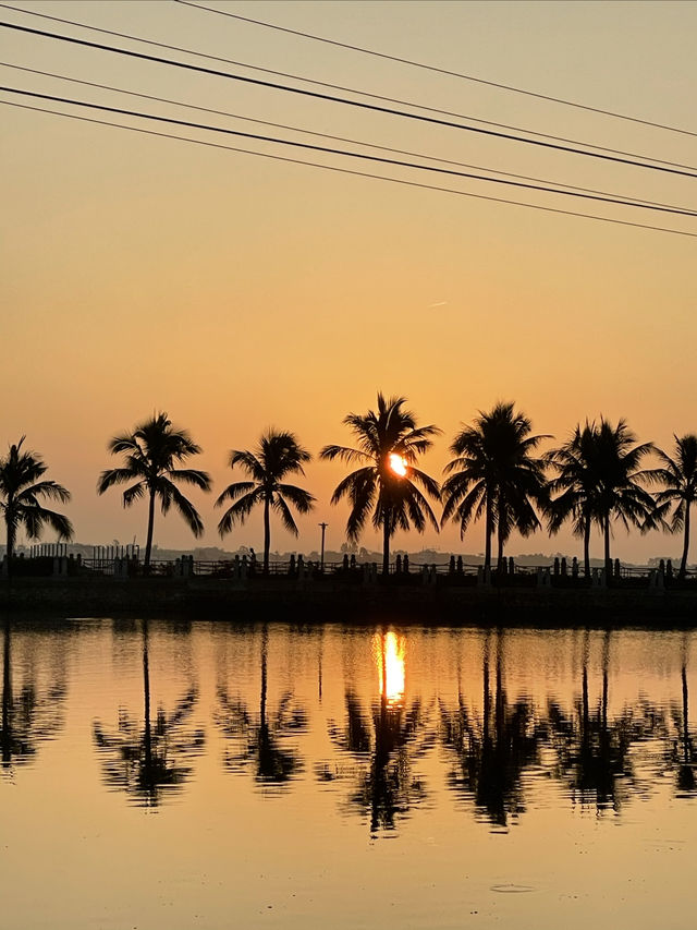 Zhanjiang Tourism | 📍Seaside Park has sunrise, coconut groves and beach.