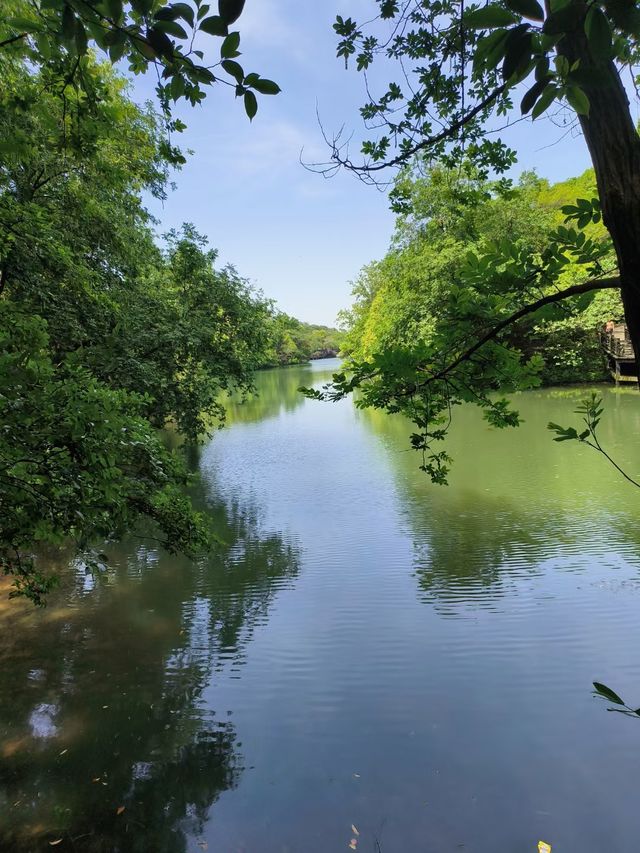 Baima Jian Longchi Scenic Area