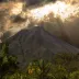 WhisperingWillow4444