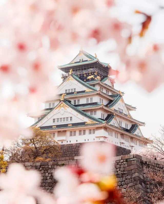 延緣御花見賞楓日遊踏日本小城堡