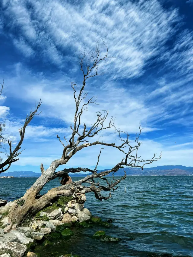 The best route for cycling around Erhai Lake in Dali