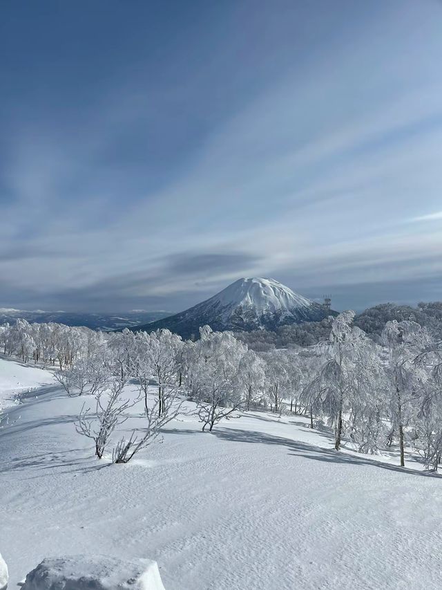 日本北海道|雪國圓夢
