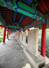 大海東來第一山，五鎮之首：東鎮沂山