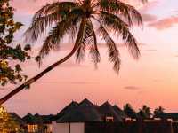 🌃 Sleepless Nights in Bali: the ultimate experience in wild nightlife!