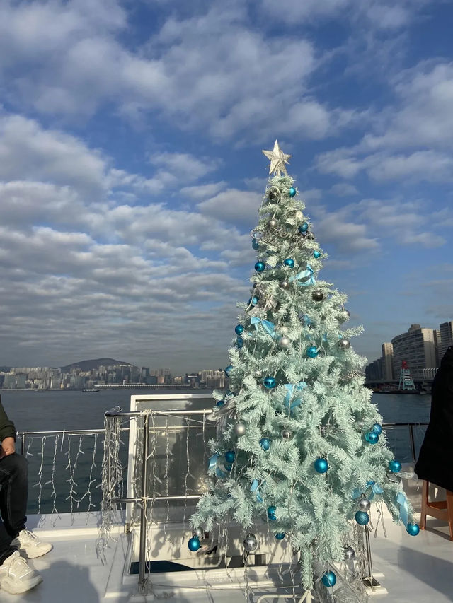Xmas Travel Day Trip 