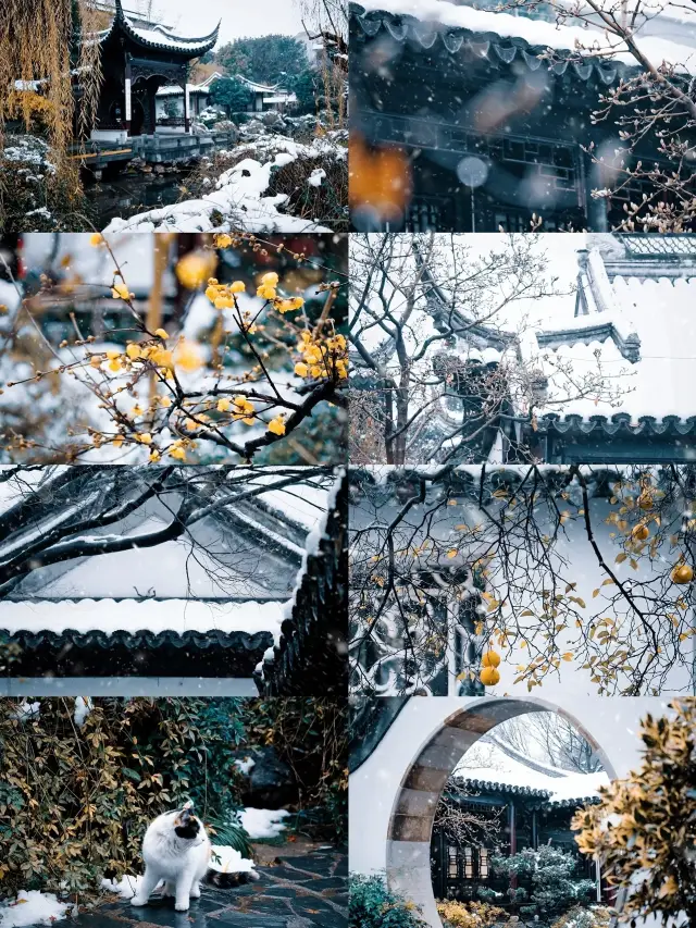 Nanjing|Zhan Garden and the Qinhuai River, the scenery before and after the snow, this is the fairyland on earth, right