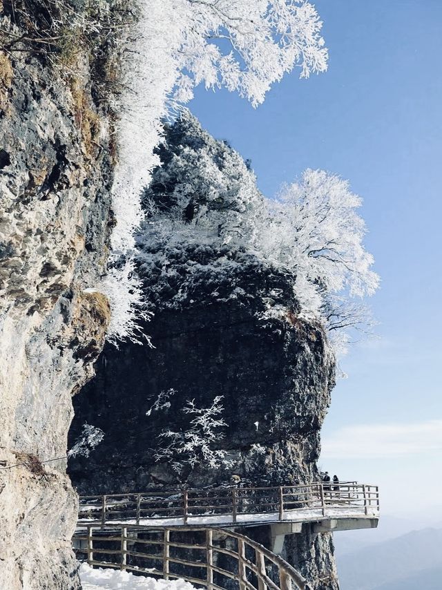 西安周邊|一不小心誤入仙境雲海