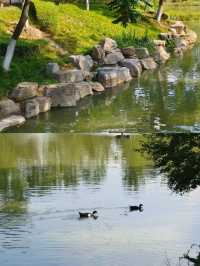 不愧是西安的公園，又有底蘊又有風景