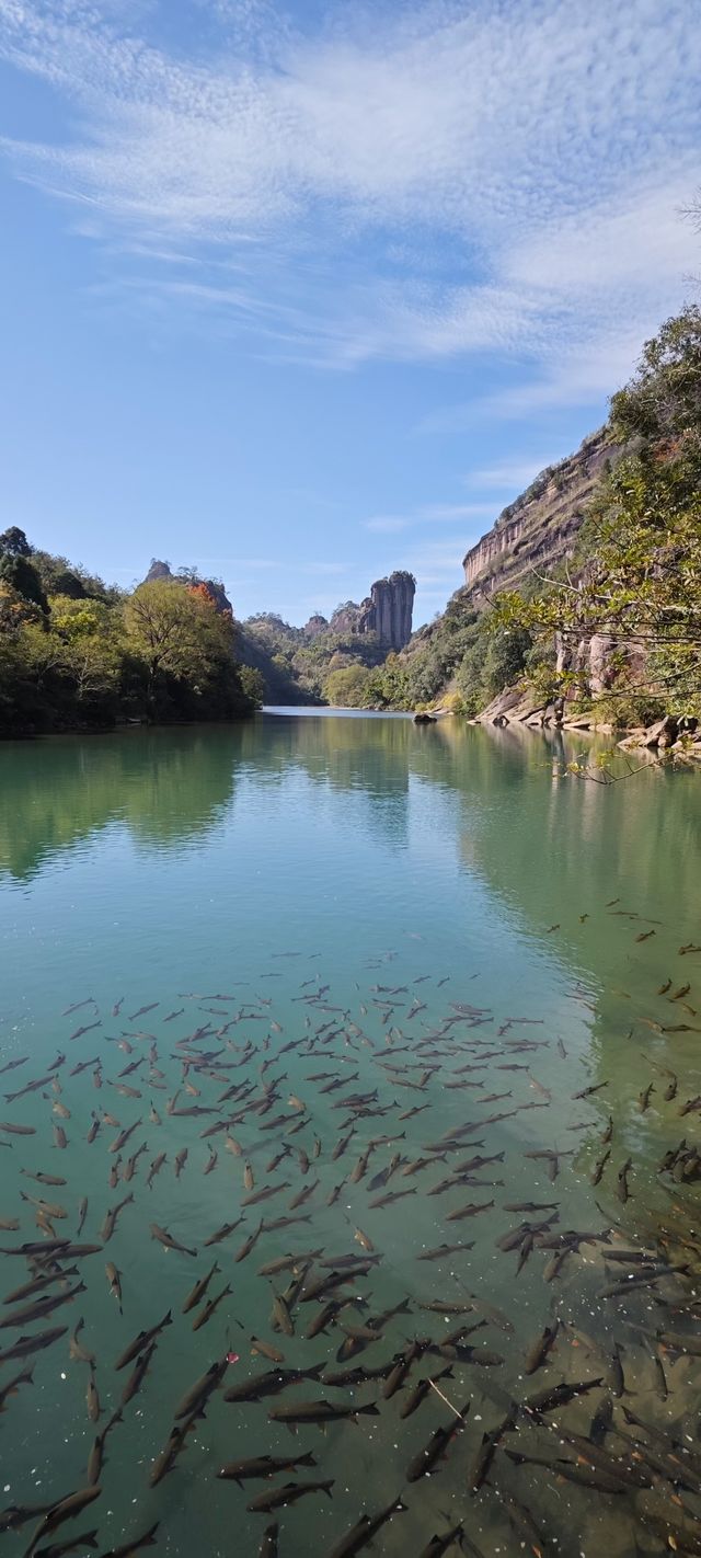 武夷山從生態、景觀、歷史文化等方面與其它同類地區和遺產地的價值比較，有以下突出特點：武夷山集山嶽、河