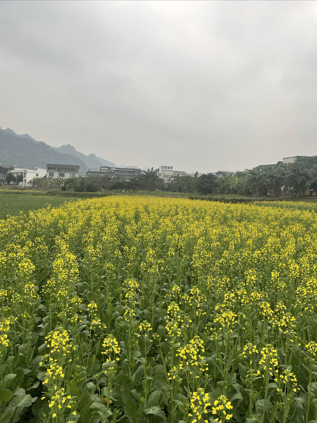 愛了住進了峰林中的溫馨民宿，每一幀都是畫卷 當看到這家民宿的第一眼，我就愛上了這間被崇山環繞的