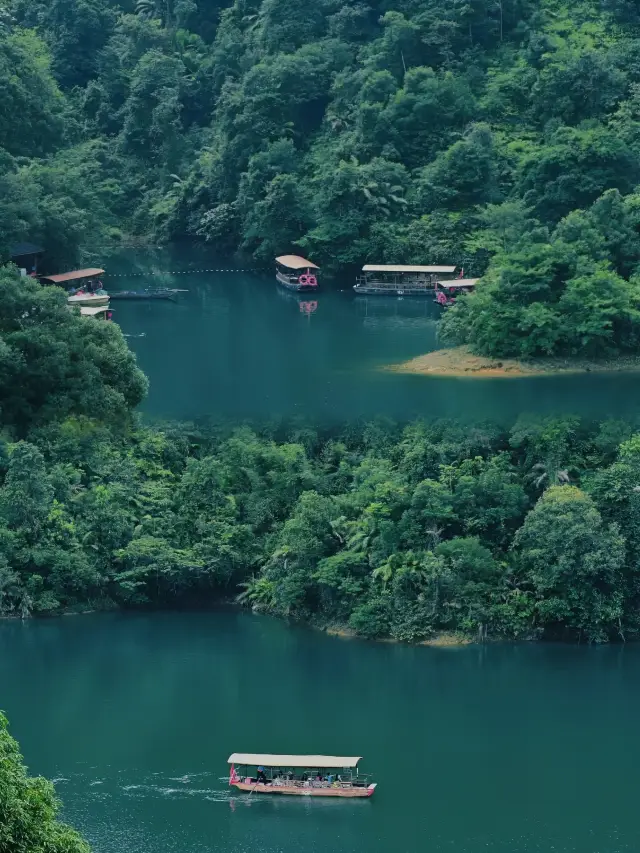 Dinghushan in Zhaoqing: The first of the four famous mountains in Guangdong, a holy land for oxygen