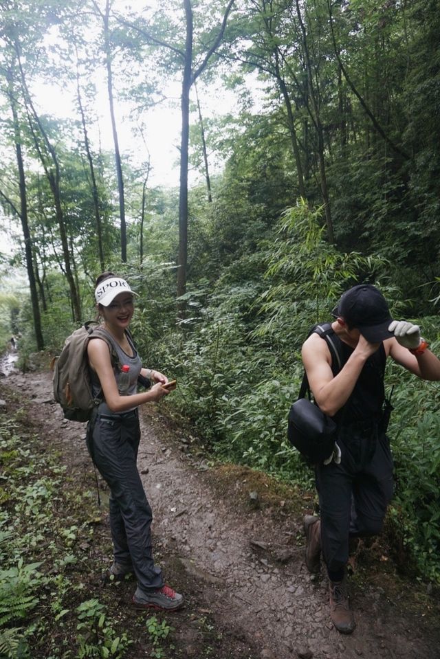 徒步 |漫步天鹅林場，氧氣中探秘迷霧森林