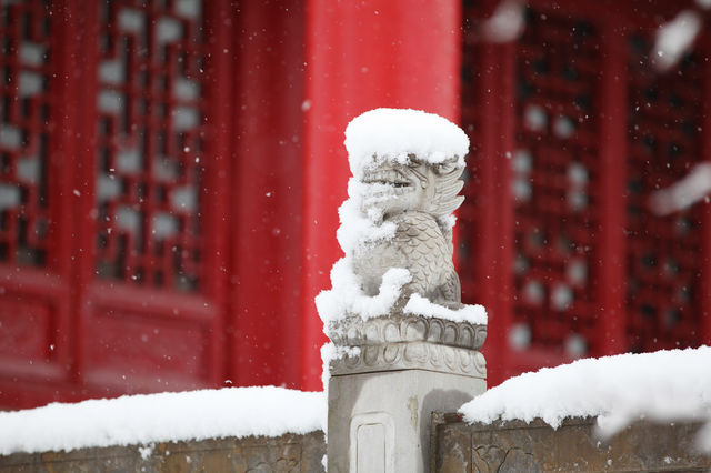 一下雪，西安樓觀就美成了仙都