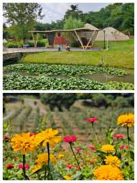 南京週末遊，解鎖浦口象山湖公園