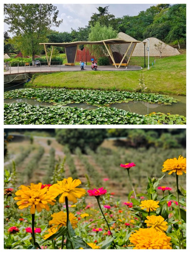 南京週末遊，解鎖浦口象山湖公園