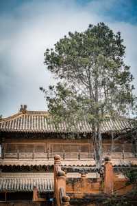 青海海東瞿昙寺