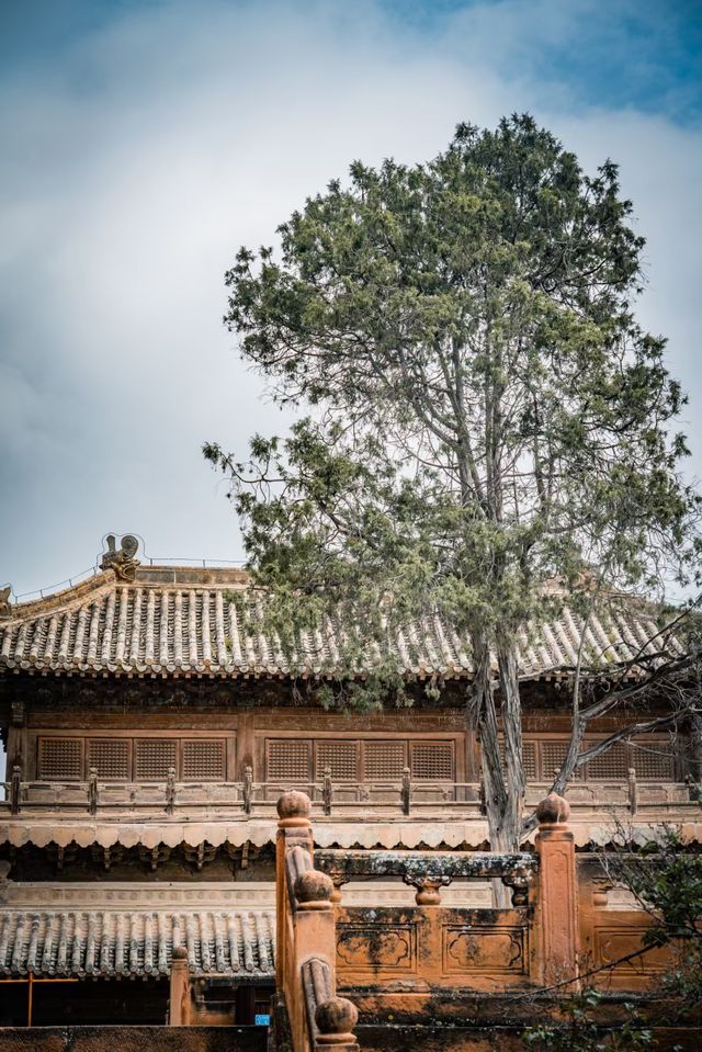 青海海東瞿昙寺