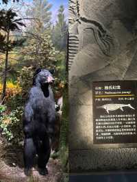 雲南玉溪一座建在化石世界遺產上的博物館