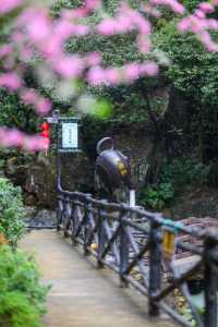 春節親子遊，清遠筆架山兩天一夜，玩到不想走