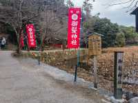 京都郊區一日遊