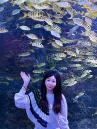 春節去哪兒？一站式體驗海洋世界的快樂