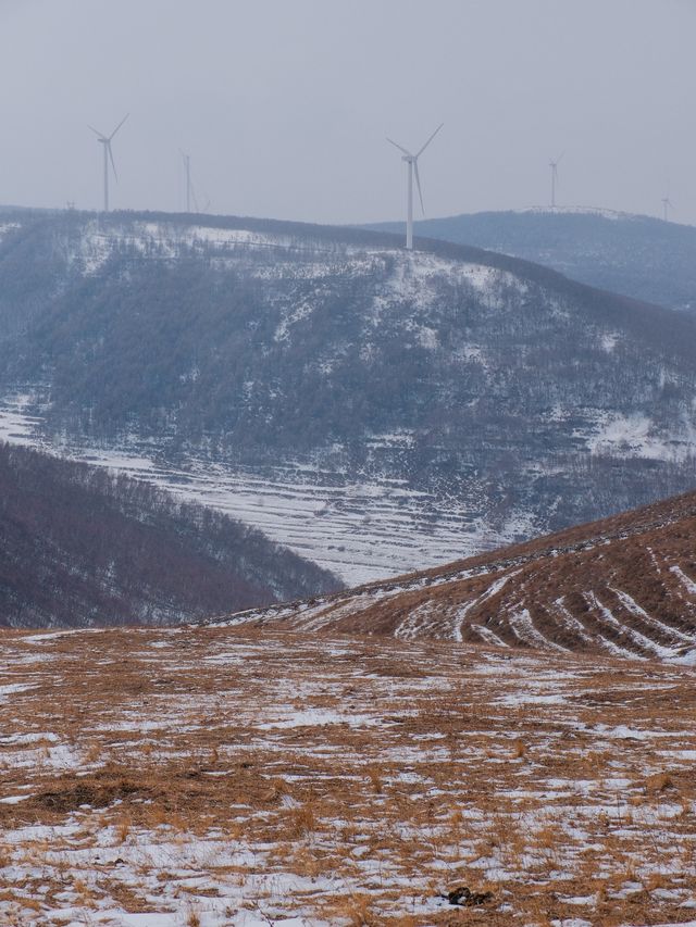 初春崇禮三樑｜又遇風雪交加的山野體驗