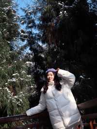 冬日的快樂怎麼能少得了看雪
