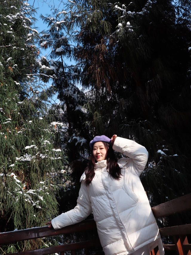 冬日的快樂怎麼能少得了看雪