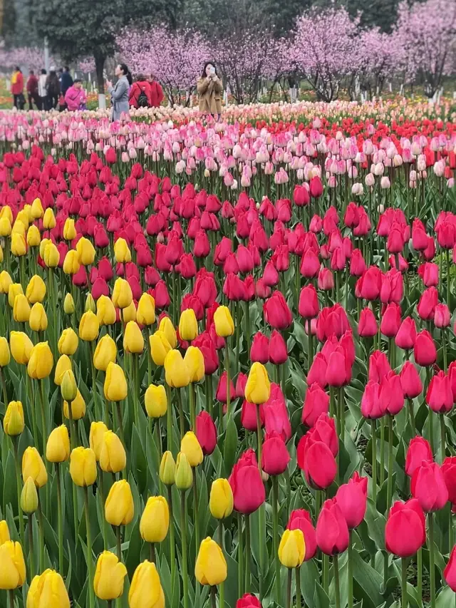 In Xi'an!! I would like to call it the tulip ceiling paradise